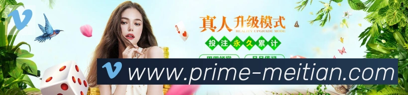 未来规划
